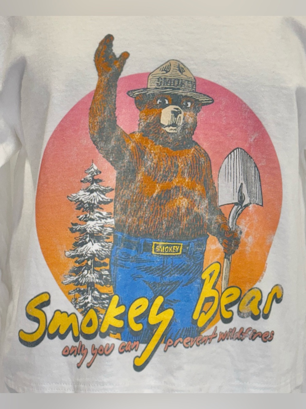Gildan retro Smokey Bear t-shirt